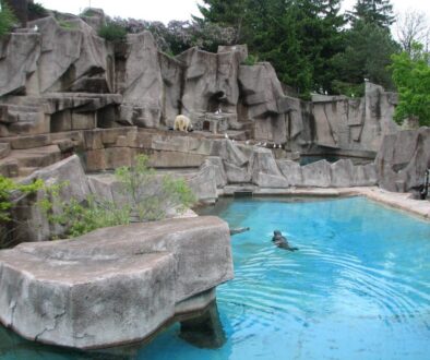 MilwaukeeCountyZoo087 MilwaukeeCountyZoo087