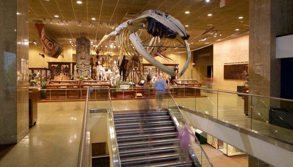 Milwaukee Public Museum