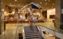 Milwaukee Public Museum Milwaukee Public Museum