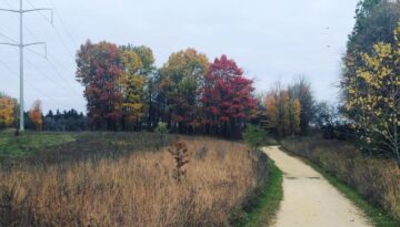 Harvey's Woods, Farmstead Woods, and Gengler Woods Loop Trail