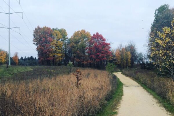 Harvey's Woods, Farmstead Woods, and Gengler Woods Loop Trail