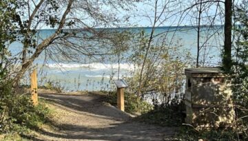 Lake Terrace Trail