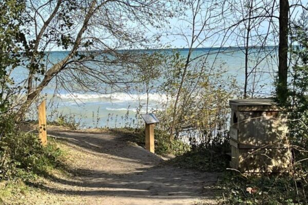 Lake Terrace Trail